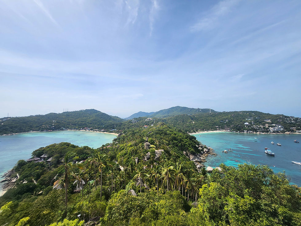 result_img_2025_08_08_16_52_11