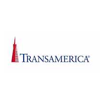 Professional White.png