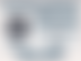 Our Biggest Update Ever! Ensurely February 2025 Feature Roundup