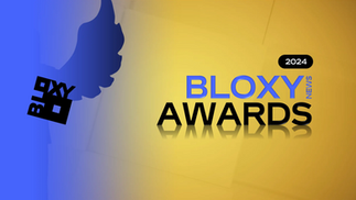 Introducing the 2024 Bloxy (News) Awards