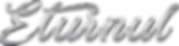 eturnul_vector.png
