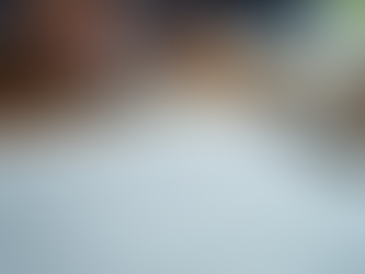 Understanding Separation Agreement Essentials