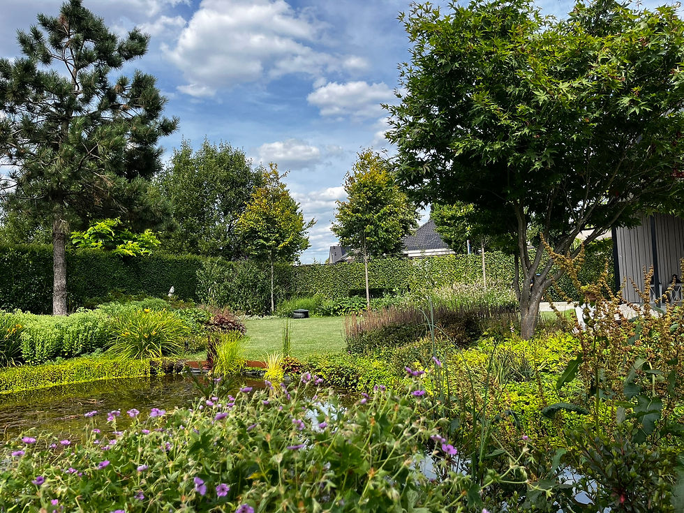 Natuurlijke tuin met vijver in Someren