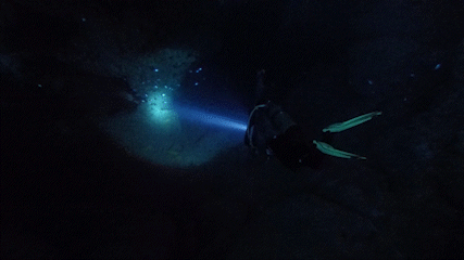 GIF Dykare ficklampa medel.gif
