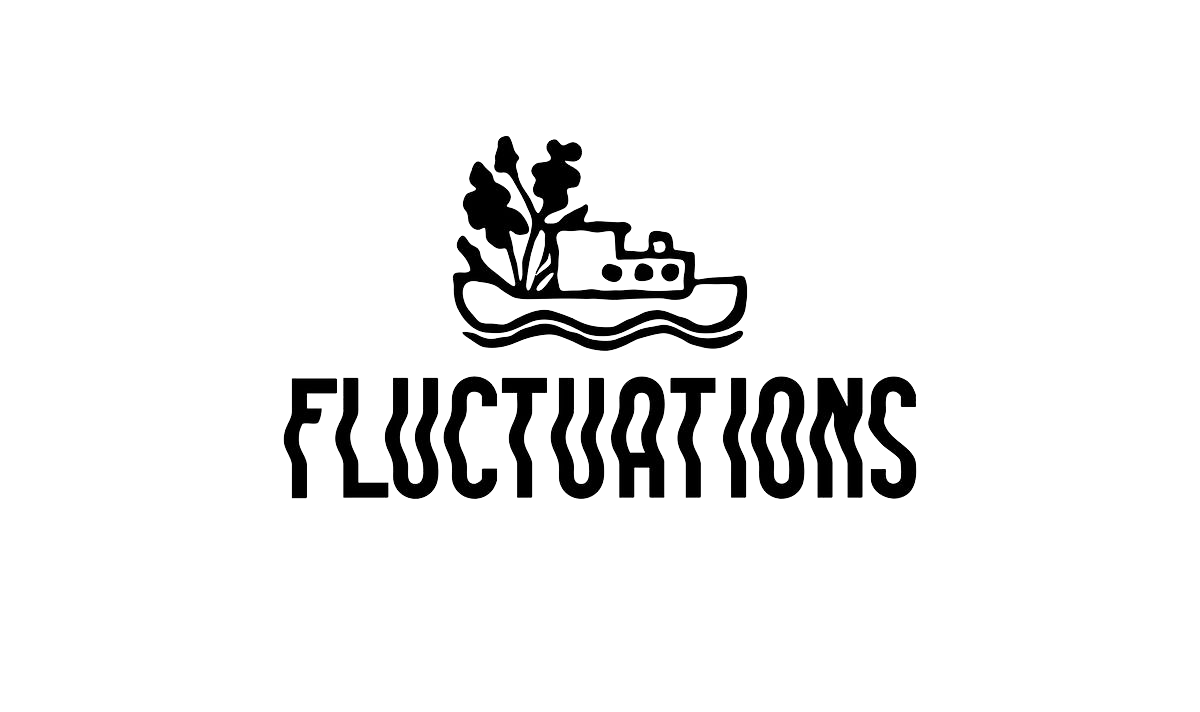 fluctuation.logo