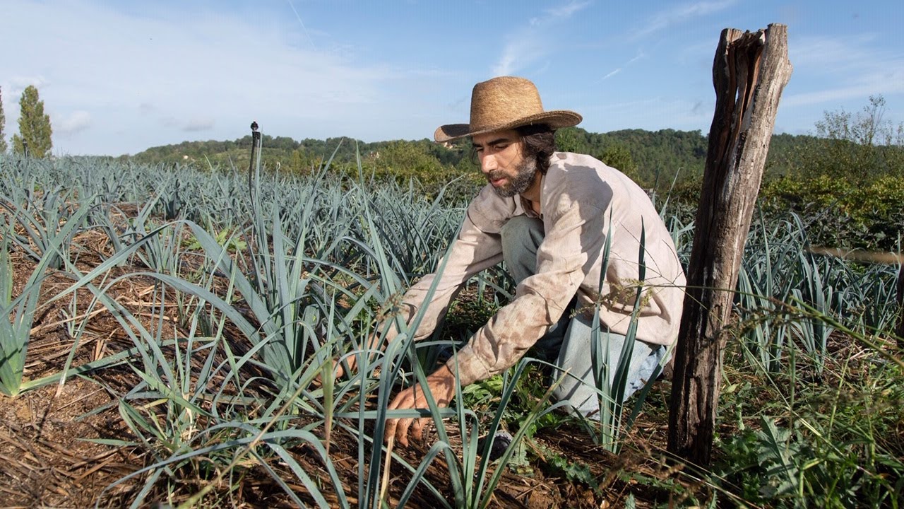 Portrait de Benoît Le Baube pour Kokopelli, réalisé dans le cadre du Dernier Calendrier. Une image lumineuse dédiée à la biodiversité et à la sauvegarde des semences libres, symbole de résilience et d’autonomie.