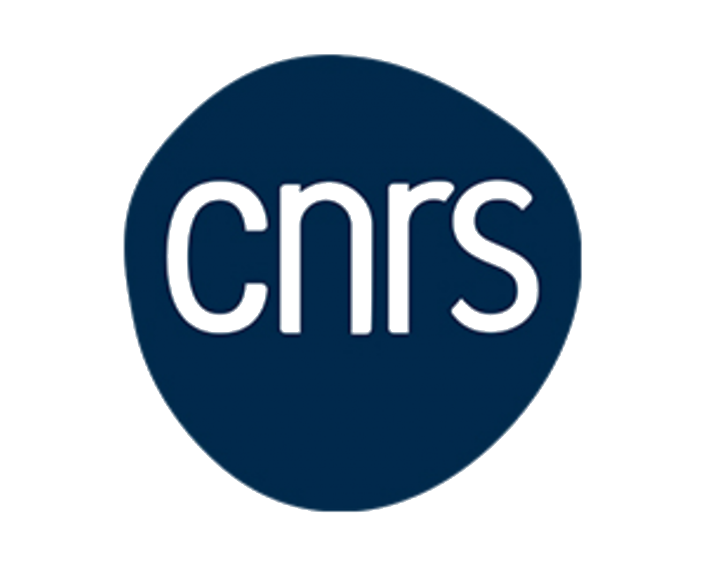 Logo_CNRS_Solasta.png