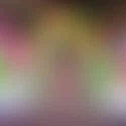 Avery at Brevard Zoo