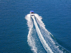 The Boat Coach: Fast or Slow, Know How to Go