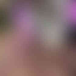 Avery at Brevard Zoo