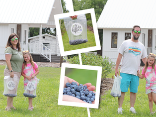 collage of a family trip to a blueberry farm