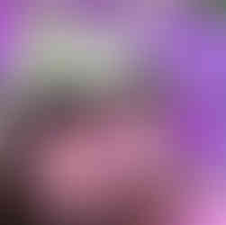 Avery & Kelsey at Brevard Zoo