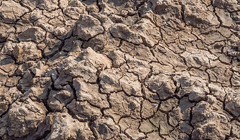 clay-soils.jpg