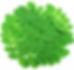 Thumbnail: HERBAL DIABETES FORMULA®