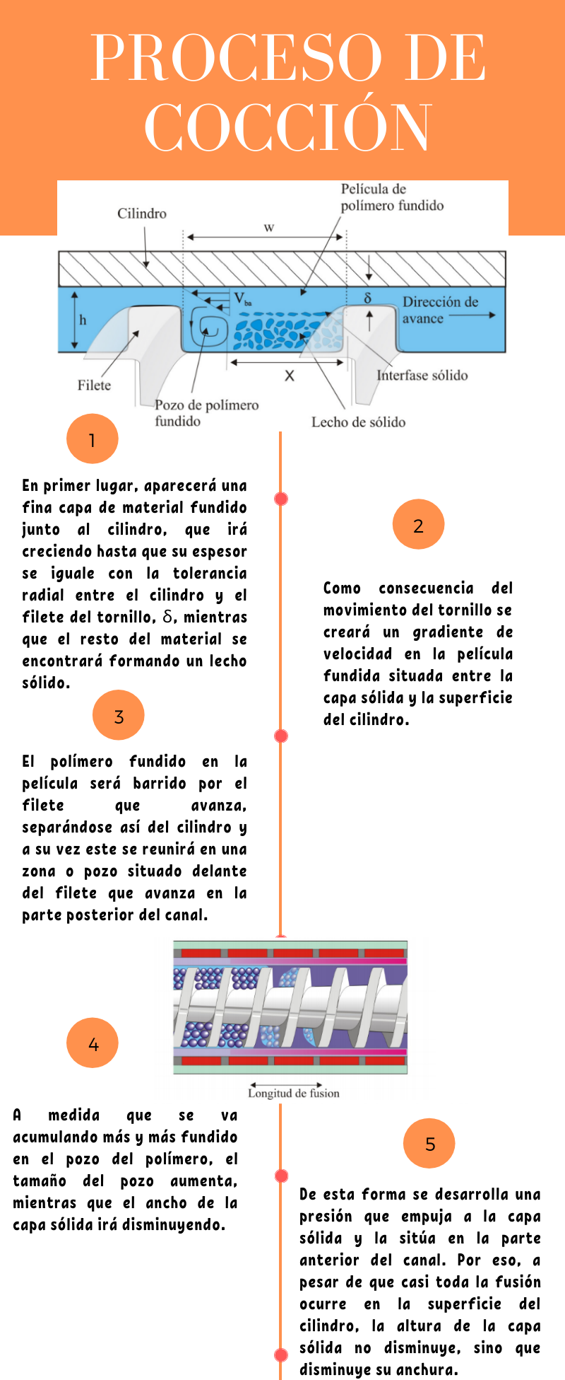 Steak Guide Timeline - Infographics (1).