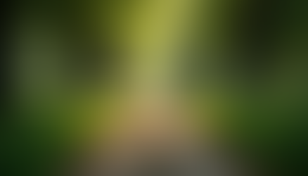 Unlock Your Potential: The Transformative Power of Life Coaching