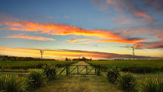 Producción Fotográfica en San Antonio de Areco