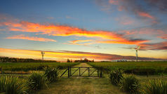 Producción Fotográfica en San Antonio de Areco