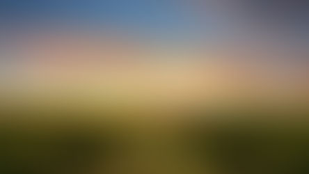 Producción Fotográfica en San Antonio de Areco