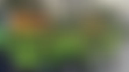 El Club Rotario de San Vicente organizó en junio una «carrera luminosa» por la buena salud, en alianza con un gimnasio.