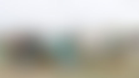 Entrega de Copa Rotary Club de Buenos Aires junto a la Asociación de Optimist Argentina. 