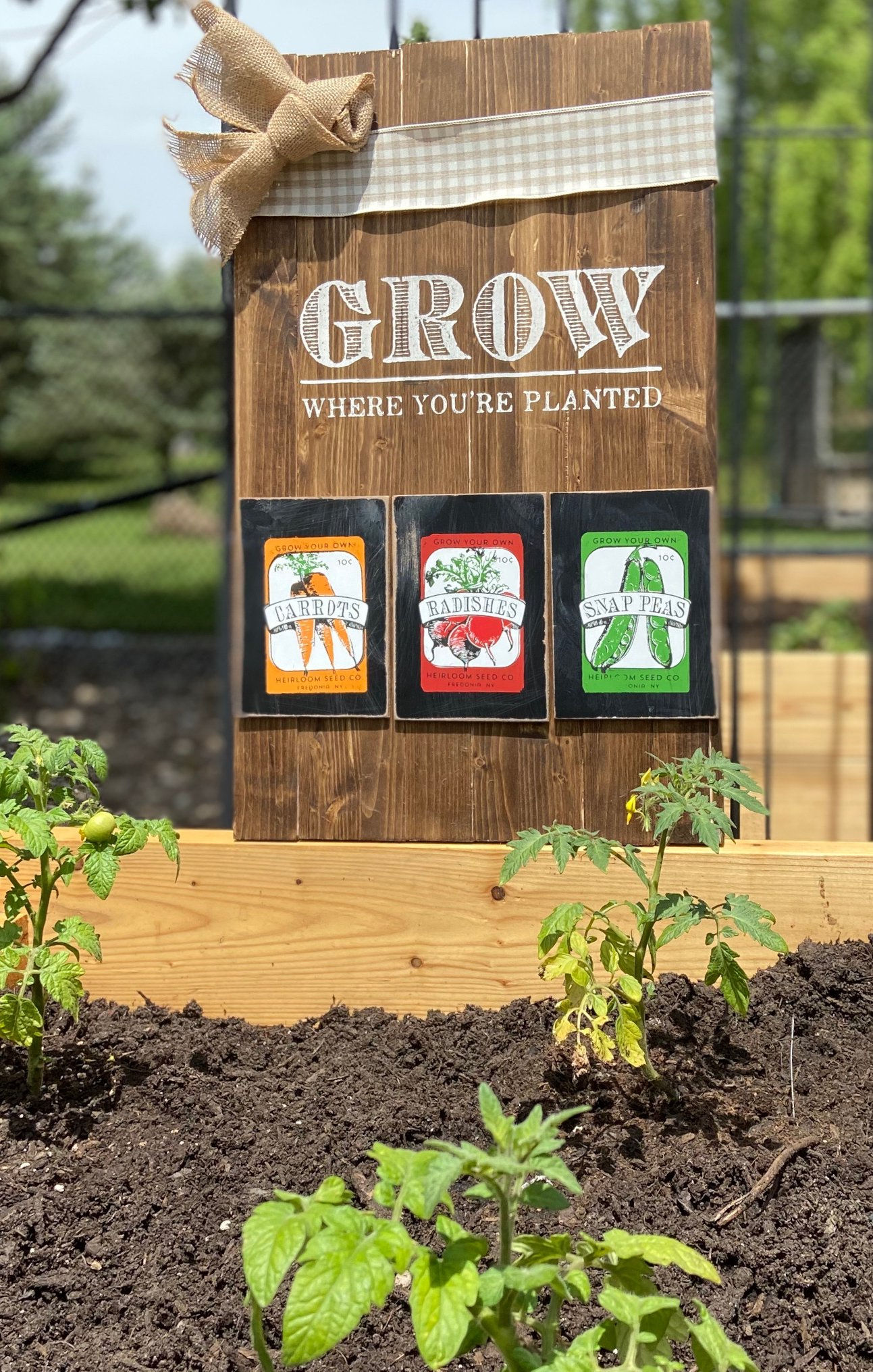 Grow where you are planted