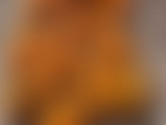 Week Eighteen: October 10th Update