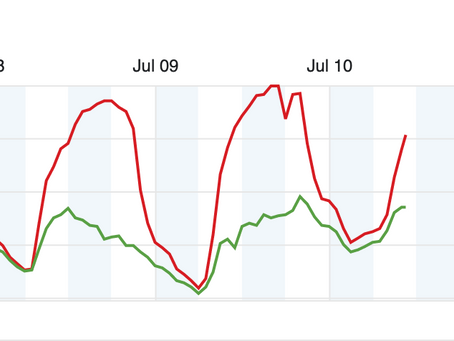 Week Five: July 11th Update