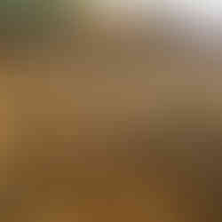 Counties RC Car Club Dirt New Zealand