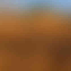 Counties RC Car Club Dirt New Zealand