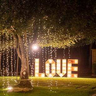 arbol iluminado live
