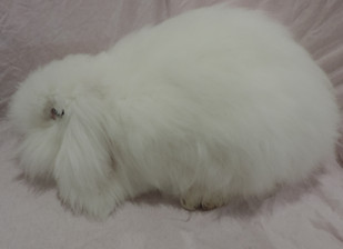 DSCN5380.JPG