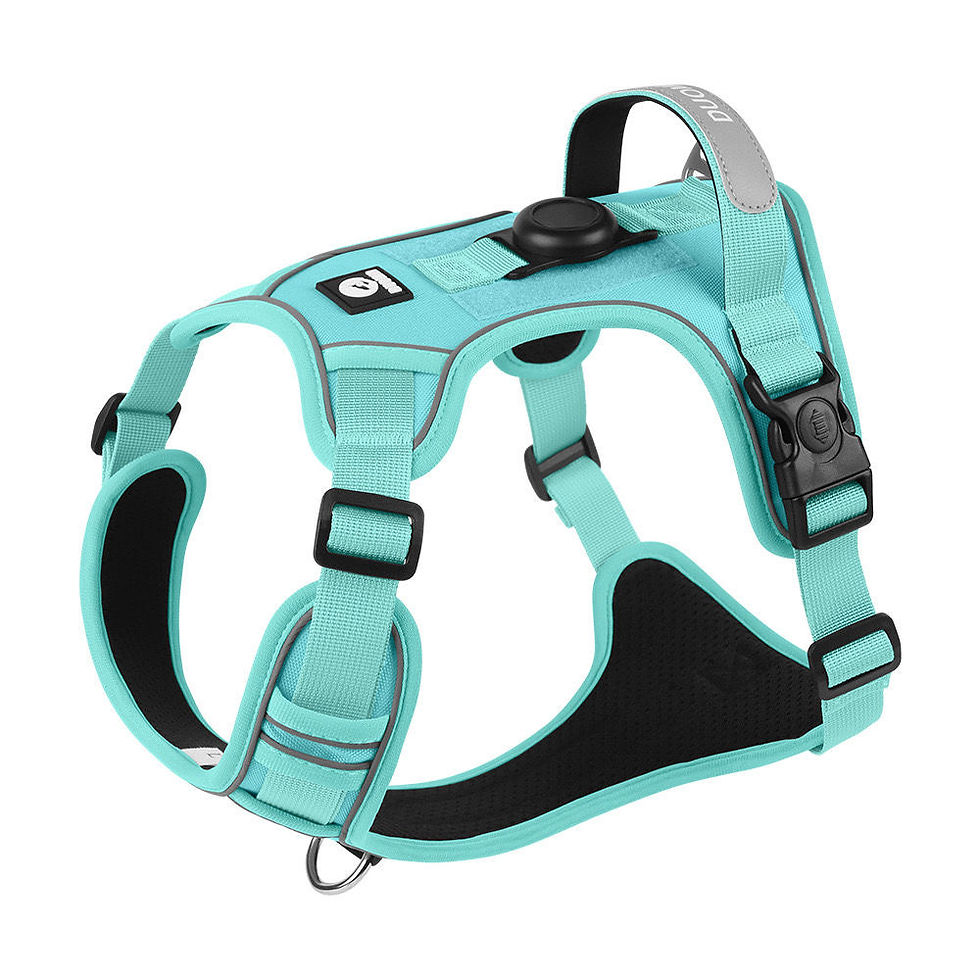 Thumbnail: Dog Harness with Airtag Holder and Leash Set-Premium Oxford Breathable Material 
