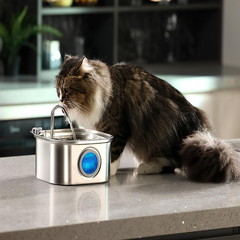 Thumbnail: 3.2L Stainless Steel Pet Water Feeder Auto Cat Fountain Smart Dog Water Dispense
