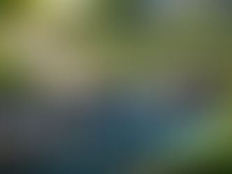 Newsletter Incoip su Linkedin