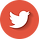 icono-twitter-graphenemex