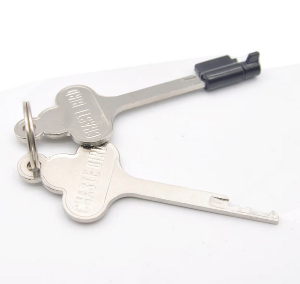Miniaturbild: Plastic Chastity Lock (with keys), Metal undetecable lock