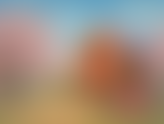 2026年2月の特典更新！