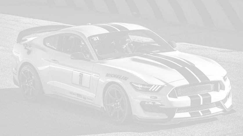 outside gt350r_edited.jpg