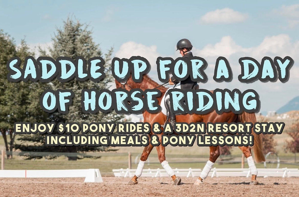 ️🐎 Saddle Up For A Day Of Horse Riding