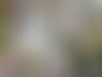 The Beethoven Concerto Project