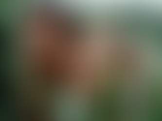 Jurassic World Renace es un éxito en taquilla y en críticas de expertos y del público.