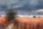 06 Minsmere Tree