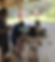 j2u7R-QQ_edited.jpg