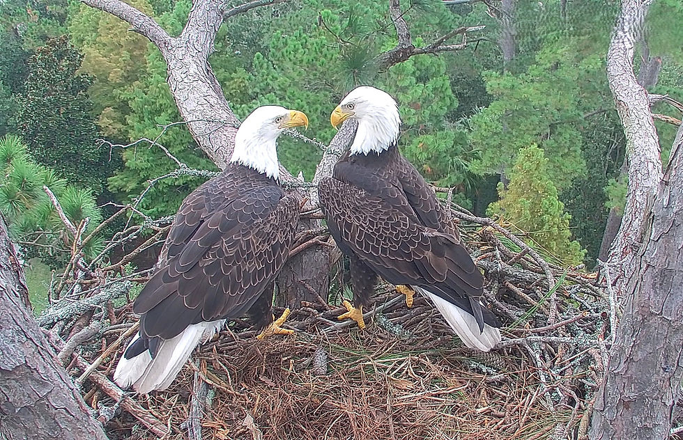 10 12 George said what did I do without date