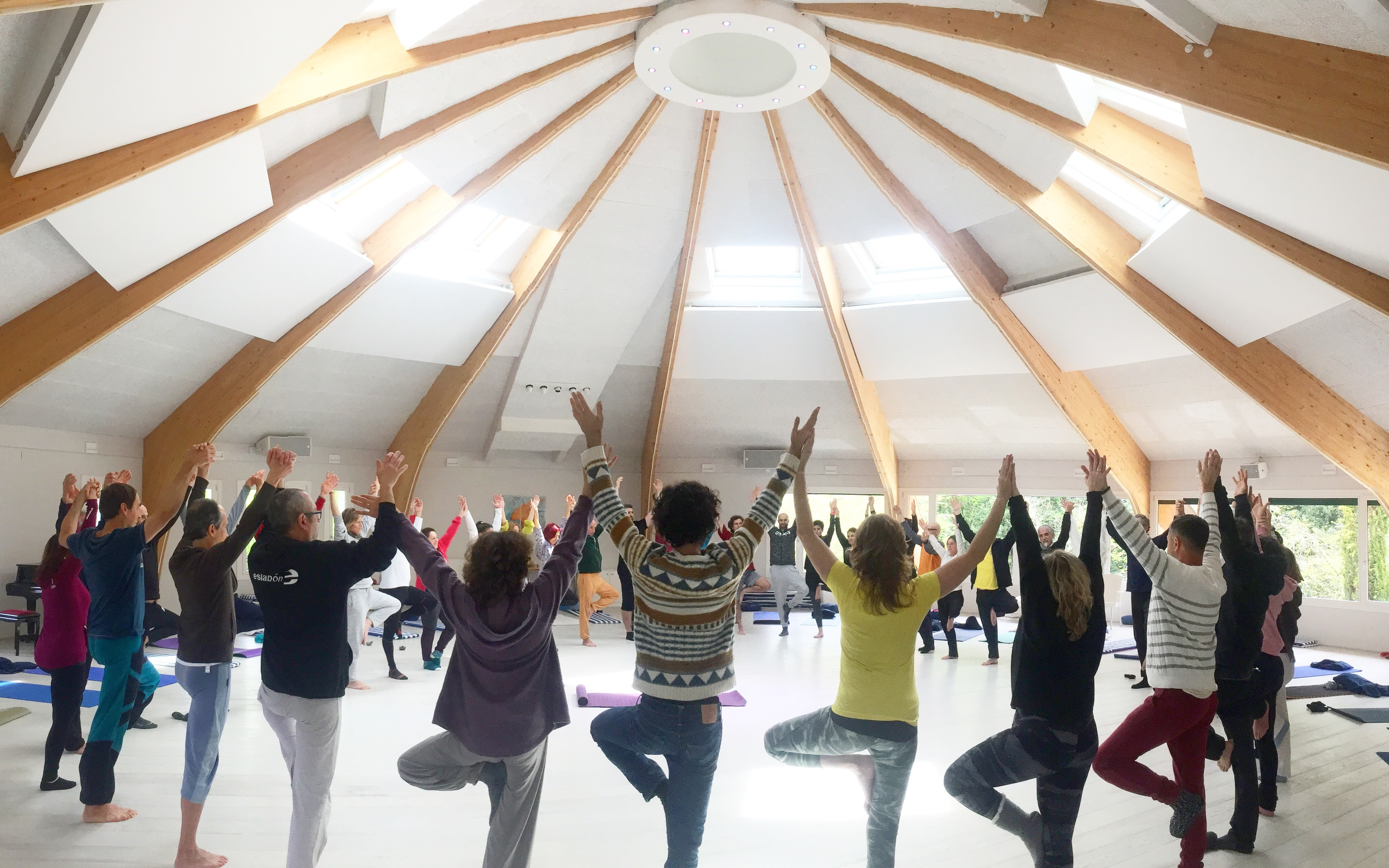 Yoga integral