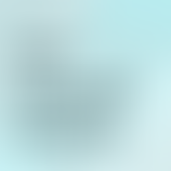 User Research Analysis