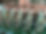 Banner.JPG