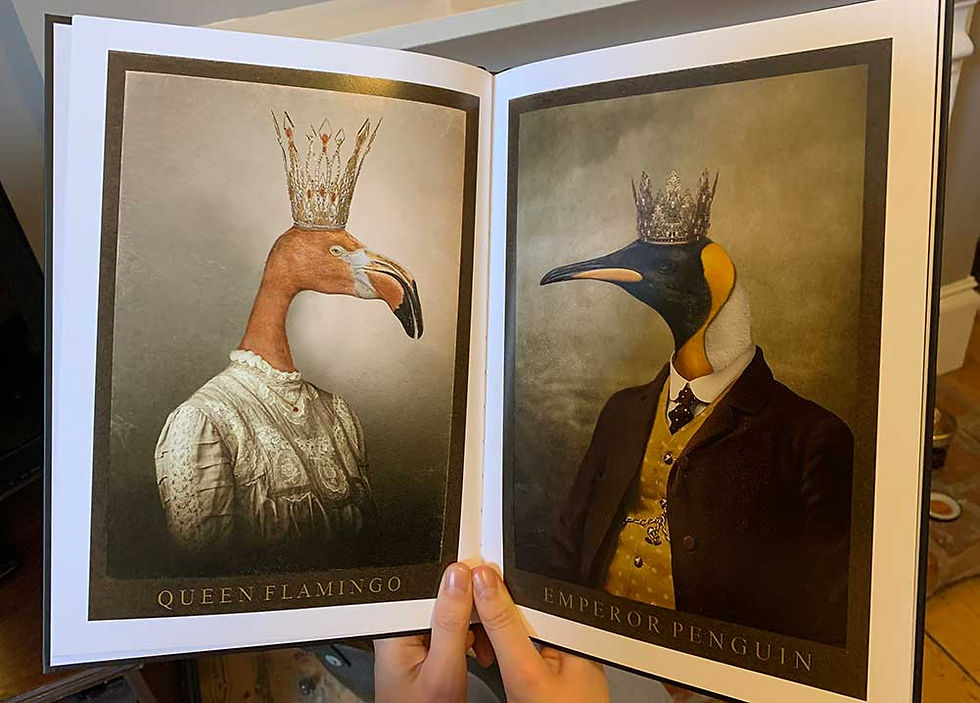 Thumbnail: 'A Lion's Tale' Volume 1