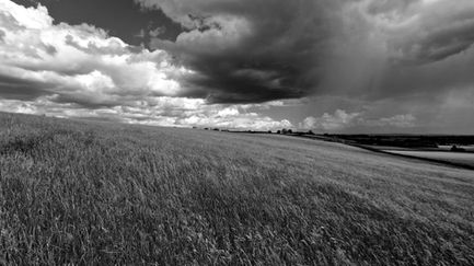 B&W 20260609_153952 copy for altering highlights scale 3.jpg
